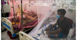 ২৪ ঘণ্টায় ডেঙ্গুতে আরও চারজনের মৃত্যু ২৪ ঘণ্টায় ডেঙ্গুতে আরও চারজনের মৃত্যু