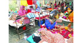 ডেঙ্গুতে মৃত্যু ৬৫০ ছাড়াল ডেঙ্গুতে মৃত্যু ৬৫০ ছাড়াল