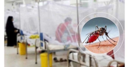 ডেঙ্গুতে ২৪ ঘণ্টায় ১০ জনের মৃত্যু, হাসপাতালে ভর্তি ১০৬৯