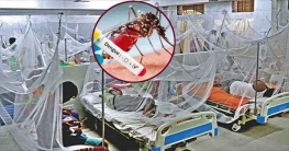 ডেঙ্গুতে আক্রান্ত হয়ে হাসপাতালে ২১৫৮ জন, মৃত্যু ৬