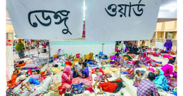 ডেঙ্গু মোকাবিলায় ঢাকাকে দ্রুত পদক্ষেপ নেওয়ার আহ্বান ডব্লিউএইচওর