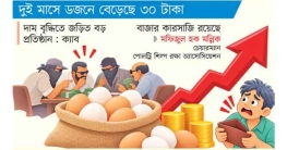 ডিমের বাজারে বড় সিন্ডিকেট