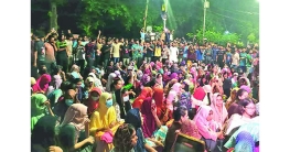 কী হচ্ছে ঢাকা বিশ্ববিদ্যালয়ে
