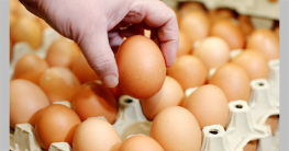 আমদানির খবরে ১২ টাকায় মিলছে প্রতি পিস ডিম আমদানির খবরে ১২ টাকায় মিলছে প্রতি পিস ডিম