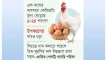ফিডের দাম বাড়ায় বন্ধের পথে খামার