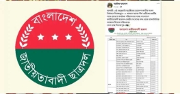 সোহরাওয়ার্দী উদ্যানে ছিনতাই, ঢাবি ছাত্রদল নেতার দায় স্বীকার