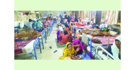 হামসহ ছয় টিকার সংকট