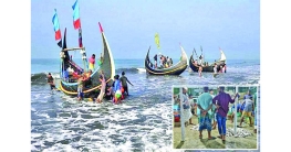 ইলিশ গেল কই?