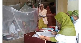 ডেঙ্গুতে আরও ৫ জনের মৃত্যু ডেঙ্গুতে আরও ৫ জনের মৃত্যু