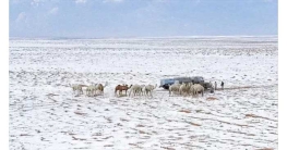 সৌদি আরবে বিরল তুষার, মরুভূমি ঢাকা সাদা চাদরে