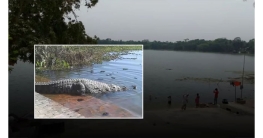 খান জাহান আলীর মাজারের দীঘিতে শিশুকে টেনে নিয়ে গেছে কুমির