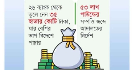 ঋণের নামে ব্যাংক লুট বিদেশে বিশাল সাম্রাজ্য