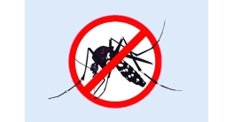 বসে থেকেই মশা মারার খরচ ৯২ কোটি টাকা