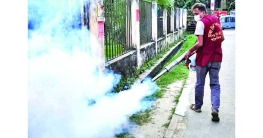 মশার কামড়ে জর্জরিত মানুষ মশার কামড়ে জর্জরিত মানুষ