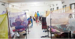 একদিনে রেকর্ড ৭১২ ডেঙ্গুরোগী হাসপাতালে, মৃত্যু ৩