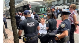 ইজরাইল বিরোধী বিক্ষোভে গ্রেফতার ১০০