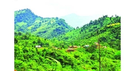 সবুজ পাহাড় এখন আতঙ্কের নাম