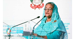 জাতিসংঘ খাদ্য ব্যবস্থা সম্মেলনে প্রধানমন্ত্রীর ৫ দফা জাতিসংঘ খাদ্য ব্যবস্থা সম্মেলনে প্রধানমন্ত্রীর ৫ দফা