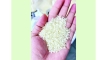 চাল নিয়ে প্রতারণা