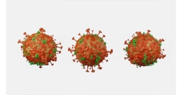 নতুন নামে করোনার ‘সিকাডা’ ভ্যারিয়েন্ট