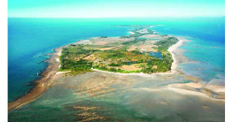 সেন্টমার্টিন কি ট্রাম্পকার্ড সেন্টমার্টিন কি ট্রাম্পকার্ড