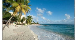 সেন্টমার্টিন নিয়ে ১২ নির্দেশনা জারি