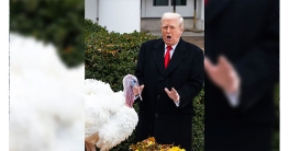 ট্রাম্পের মহানুভবতা, ক্ষমা পেল দুই টার্কি মুরগি ট্রাম্পের মহানুভবতা, ক্ষমা পেল দুই টার্কি মুরগি