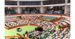 গণতন্ত্রের শৃঙ্গ জয়ের অভিযাত্রা গণতন্ত্রের শৃঙ্গ জয়ের অভিযাত্রা