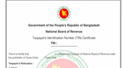 টিন সার্টিফিকেট ছাড়া মিলবে না যেসব সেবা