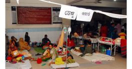 ডেঙ্গুতে মৃত্যু ১০, হাসপাতালে আরও ১৯৮৪ রোগী