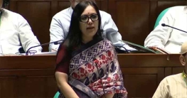 আমাকে সংসদে অকথ্য ভাষায় গালাগালি করা হয়েছে: রুমিন ফারহানা