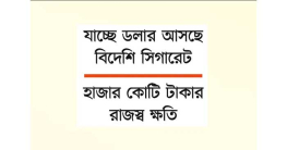 মিথ্যা ঘোষণার আমদানিতে সর্বনাশ