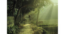 যে কারণে এবার এখনই শীতের অনুভূতি বাংলাদেশে যে কারণে এবার এখনই শীতের অনুভূতি বাংলাদেশে