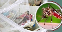 ডেঙ্গু চিকিৎসায় হাসপাতাল প্রস্তুত রাখার নির্দেশ