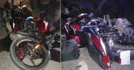 নববধূ নয়, বাড়িতে এলো দুই ভাইয়ের মরদেহ