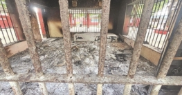 যে কৌশলে পালিয়ে যান নরসিংদী কারাগারের ৮২৬ বন্দি