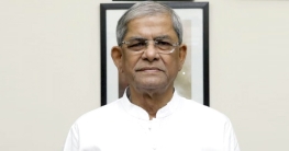 ৯ মামলায় মির্জা ফখরুলের জামিন