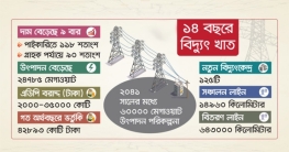 বিদ্যুত খাতে পাইকারিতে ১১৮ ও গ্রাহক পর্যায়ে ৯০ শতাংশ বেড়েছে দাম