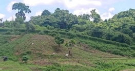 মিয়ানমার থেকে ছোড়া মর্টার শেলে বান্দরবানে নিহত ২