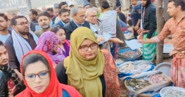 দেশে ডামি নির্বাচন করতে প্রতিবেশী দেশ হস্তক্ষেপ করেছে : রিজভী